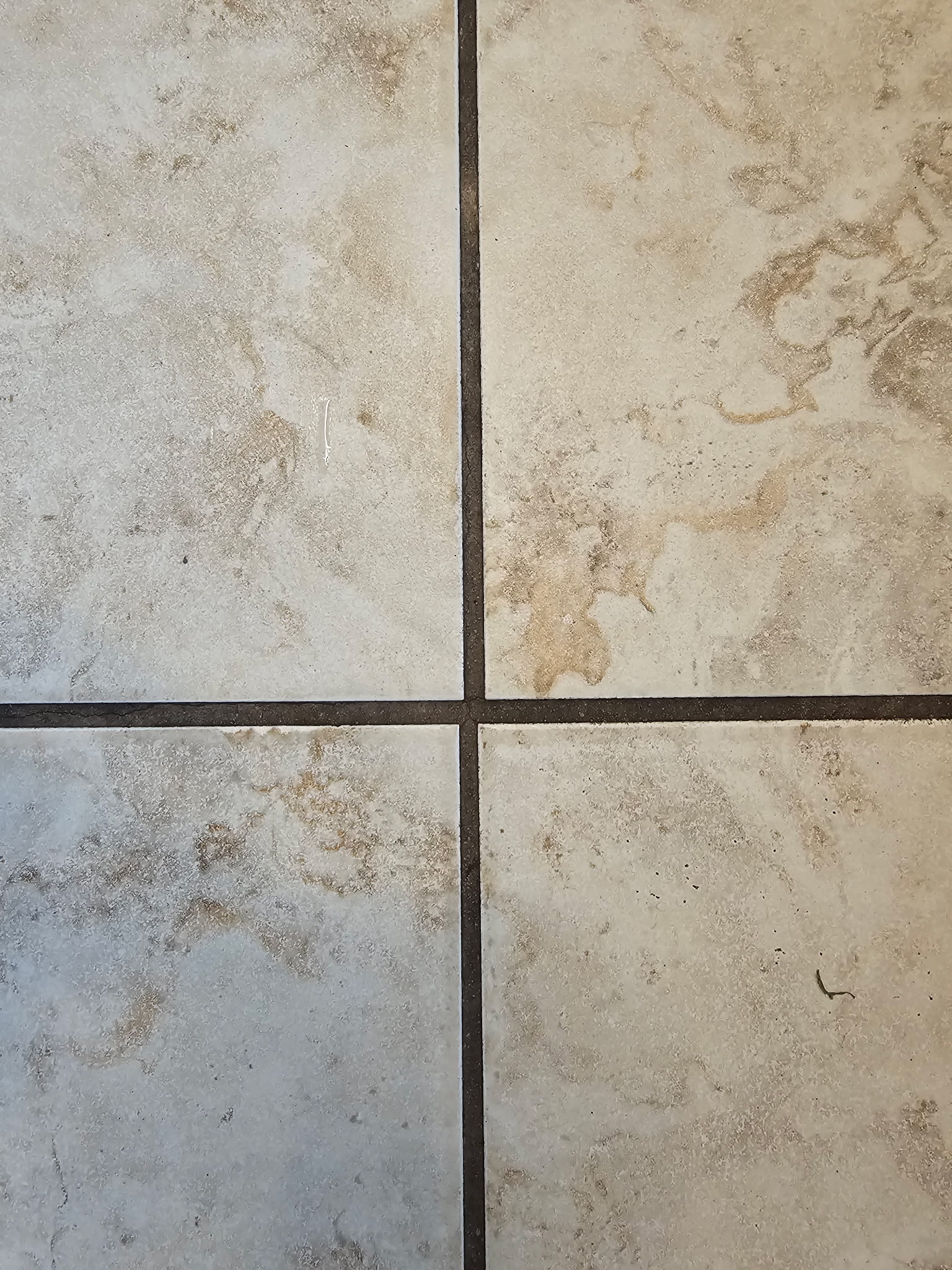 Dirty ceramic floor tile and stained grout lines in Affton MO home before deep cleaning